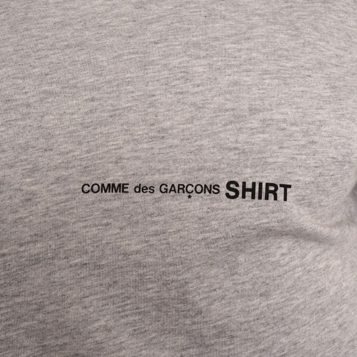 Oversized Logo T-Shirt/Grey