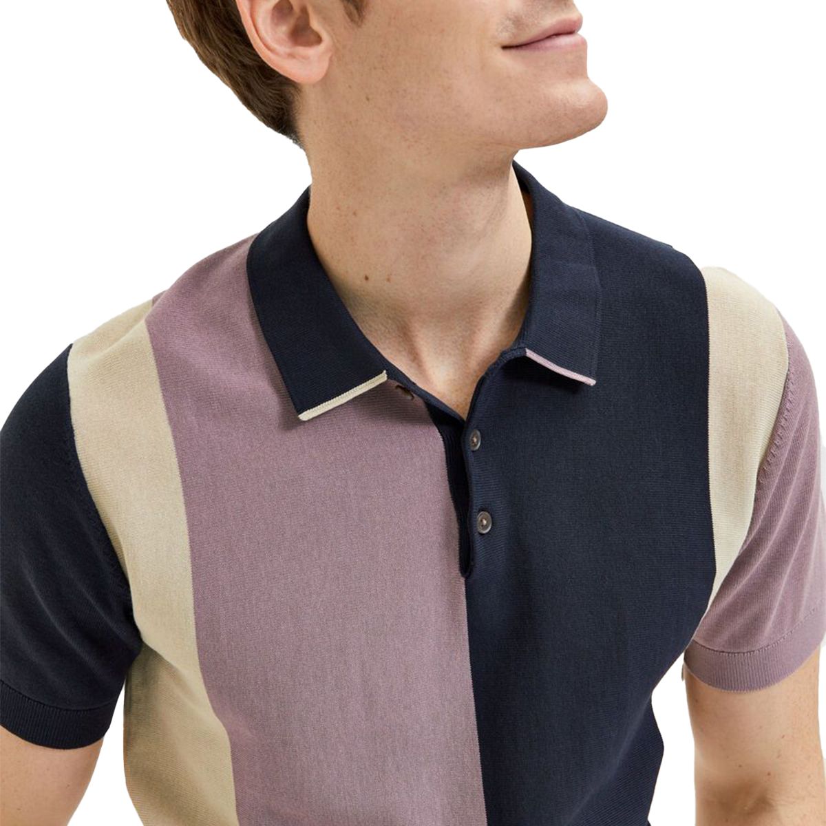 Elderberry Block Striped Polo Shirt